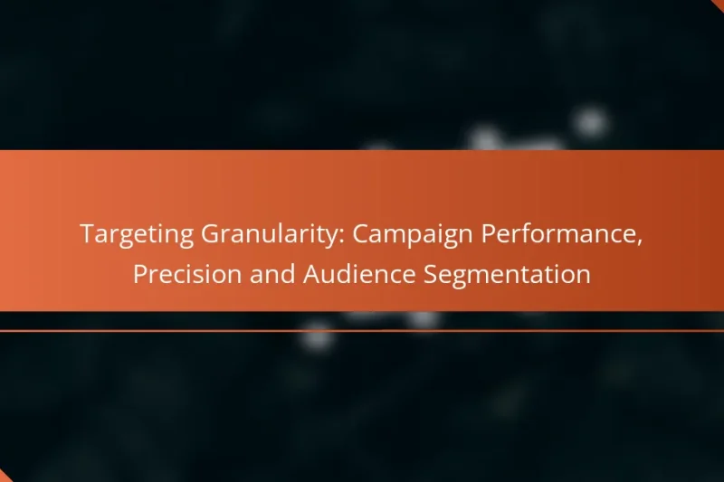 Cílení Granularity: Výkon Kampaně, Přesnost a Segmentace Publikum