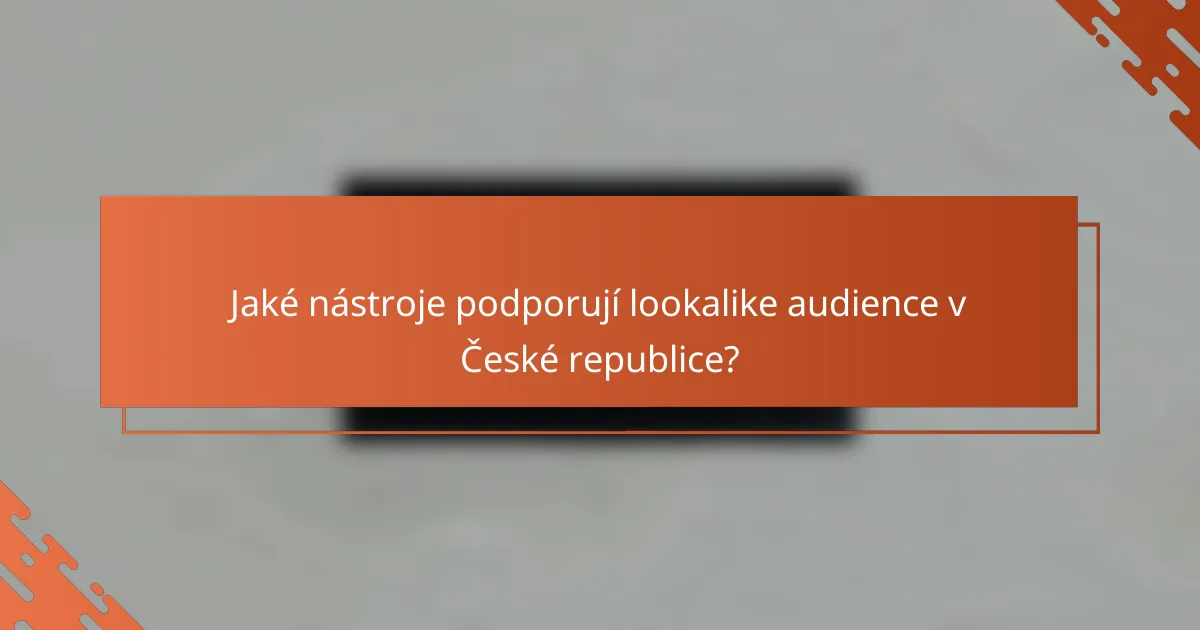 Jaké nástroje podporují lookalike audience v České republice?